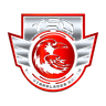 Embleme Division Raven